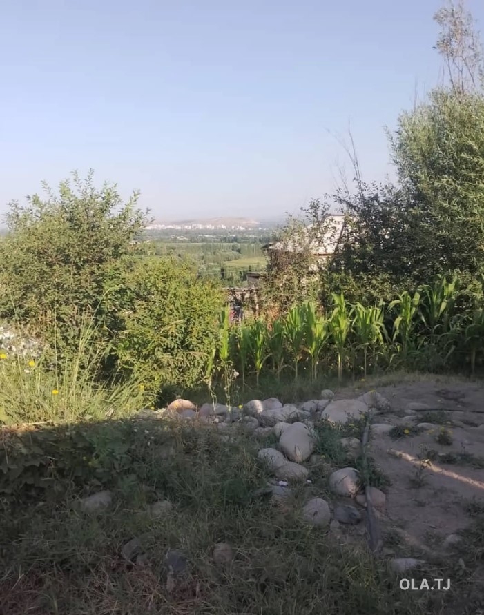 Дом (хавли), 2 комнат, 1 эт