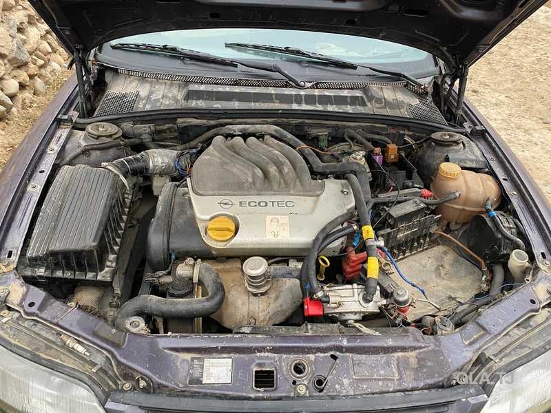 Opel Vectra B,  1998