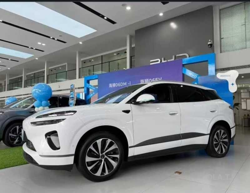 BYD Sea Lion 06,  2026