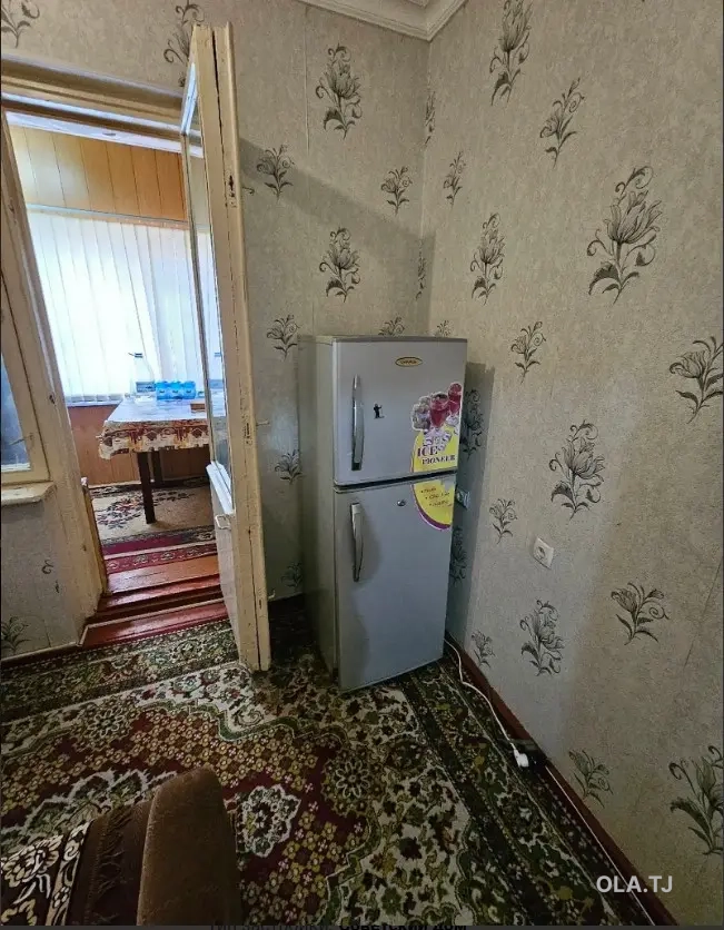 1 комнатная квартира, 1 этаж, 50 м²