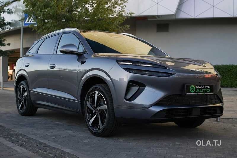 BYD Sea Lion 06,  2025
