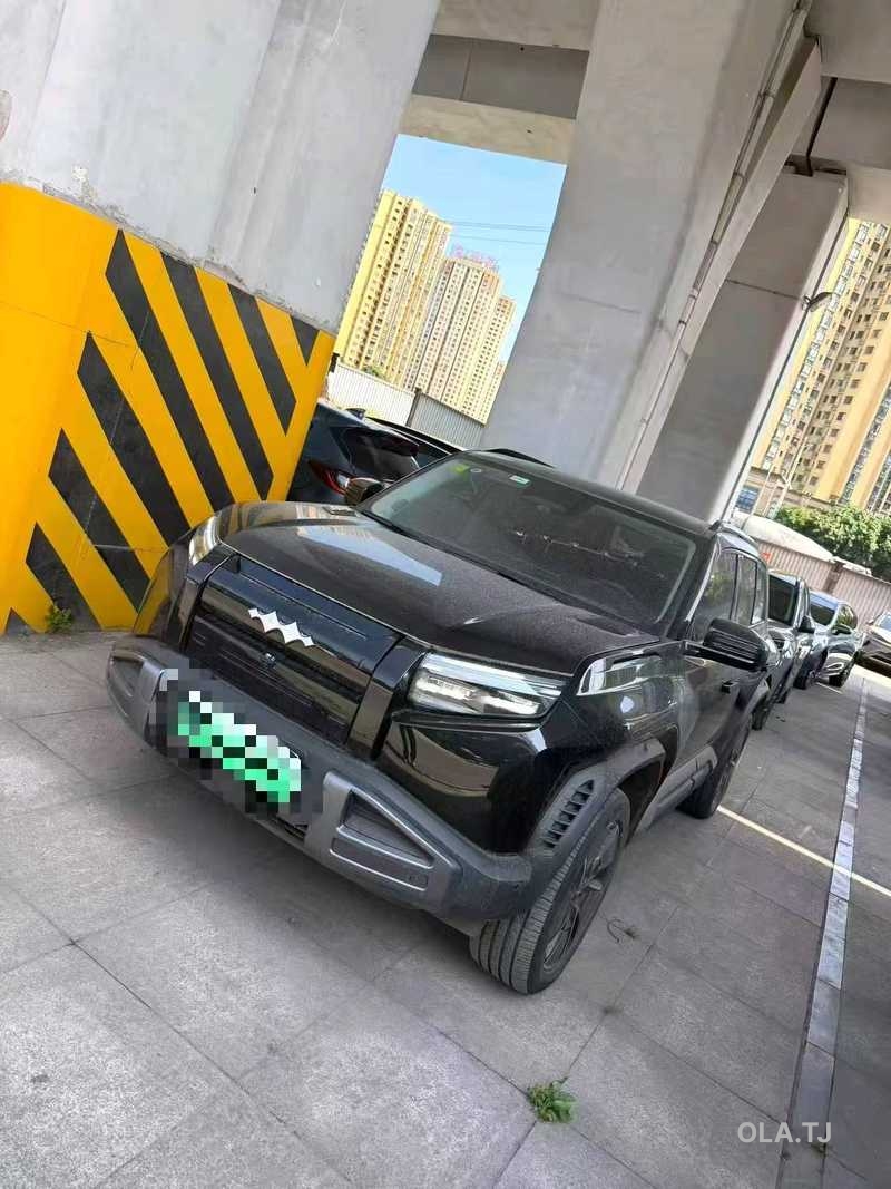 BYD Leopard 3,  2025