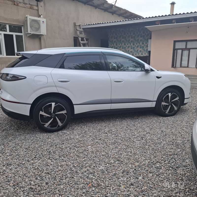 BYD Sea Lion 06,  2025