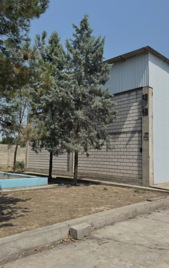 Офис в аренду, Отдельно стоящее здание, 4300 м²