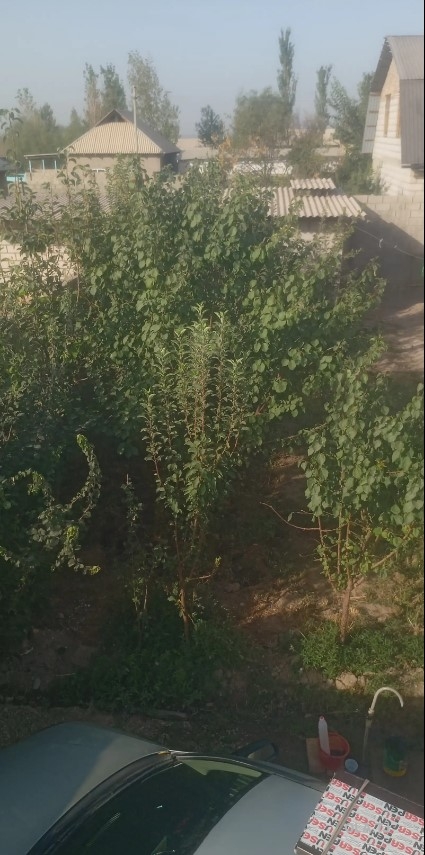 Дом (хавли), 4 комнат, 1 эт
