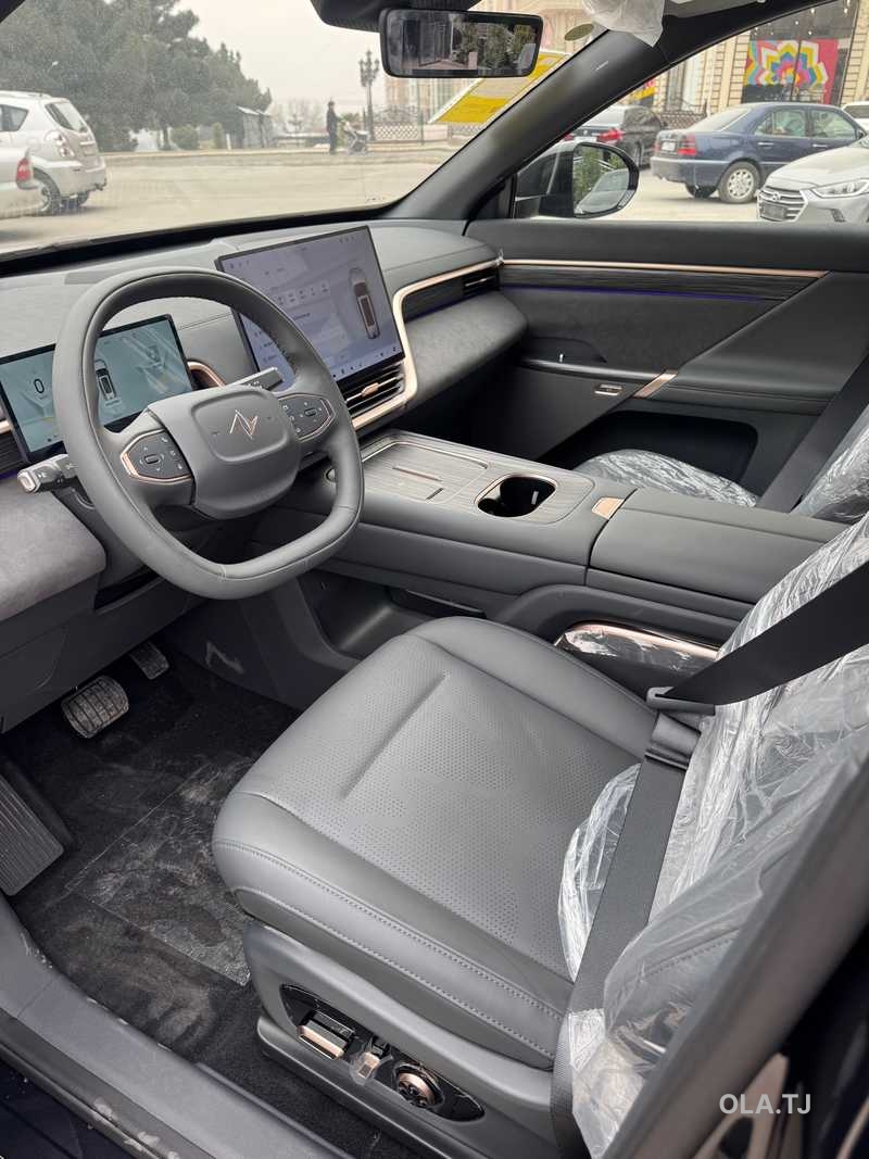 Dongfeng EP 008, 2025