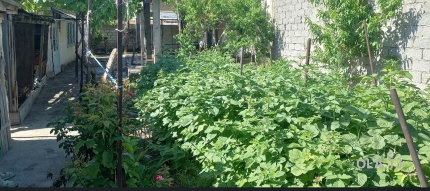 Дом (хавли), 4 комнат,