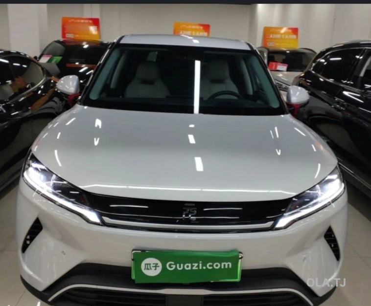 BYD Yuan Up,  2025