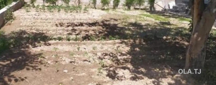 6 комнатная квартира, 1 этаж, 200 м²