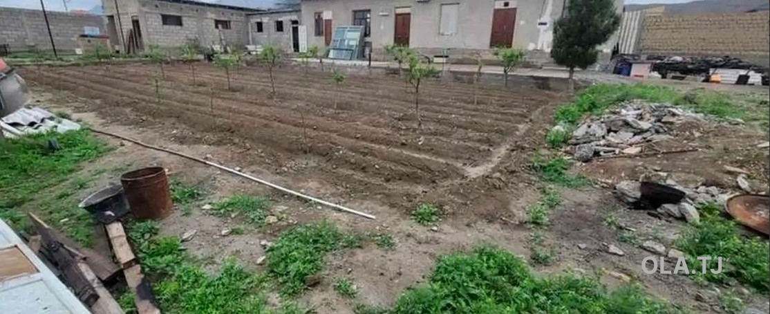Дом (хавли), 3 комнат, 1 эт