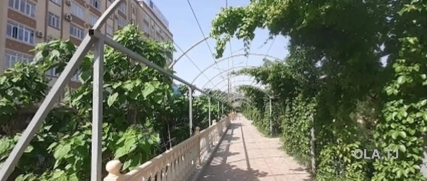 1 комнатная квартира, Цокольный этаж, 53 м²