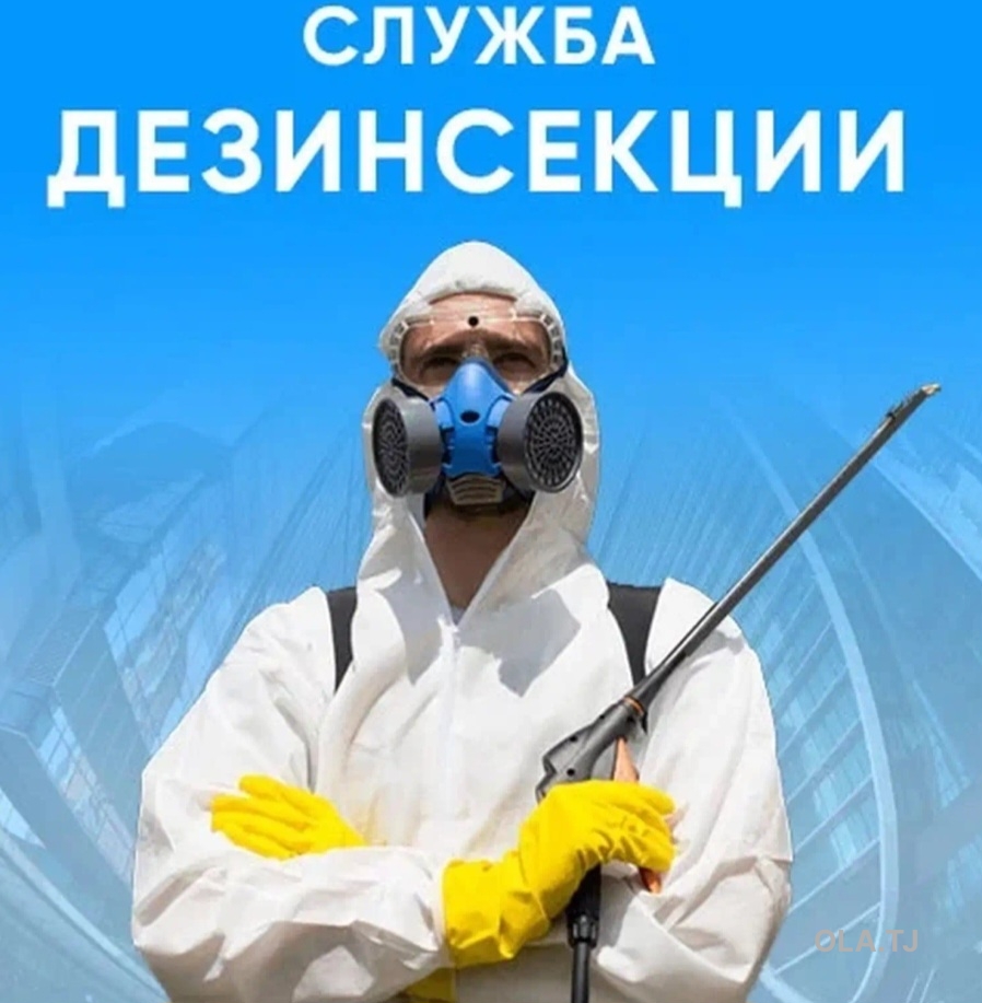 услуги дезинфекции