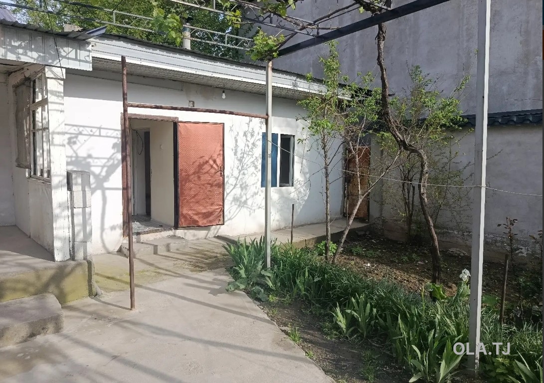 Дом (хавли), 10+ комнат, 1 эт