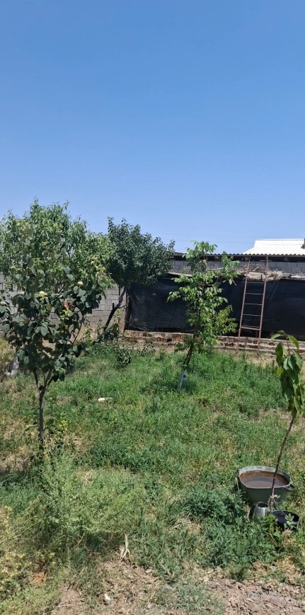 Дача, 4 комнат, 1 эт