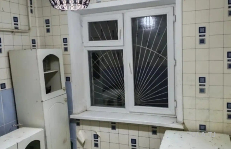1 комнатная квартира, 1 этаж, 45 м²