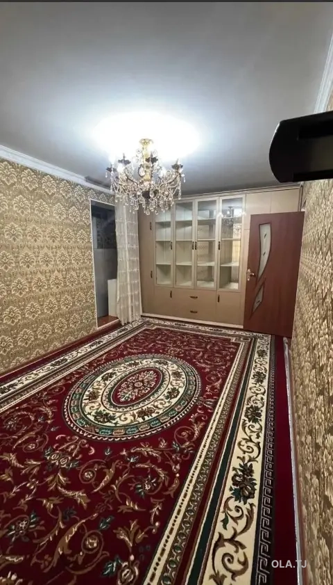 1 комнатная квартира, 1 этаж, 41 м²