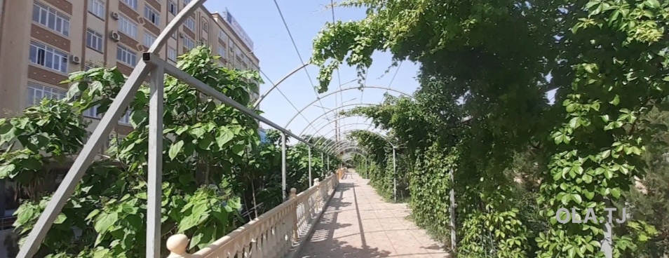 1 комнатная квартира, Цокольный этаж, 53 м²