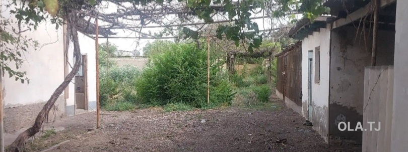 Дом (хавли), 5 комнат,
