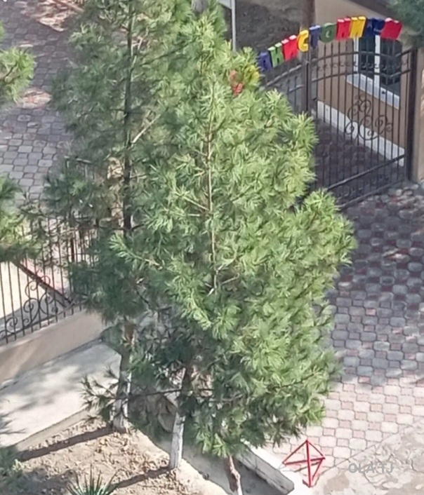 2 комнатная квартира, 6 этаж, 74 м²
