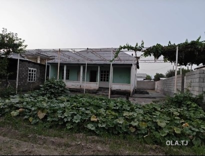 Дом (хавли), 1 комнат, 1 эт
