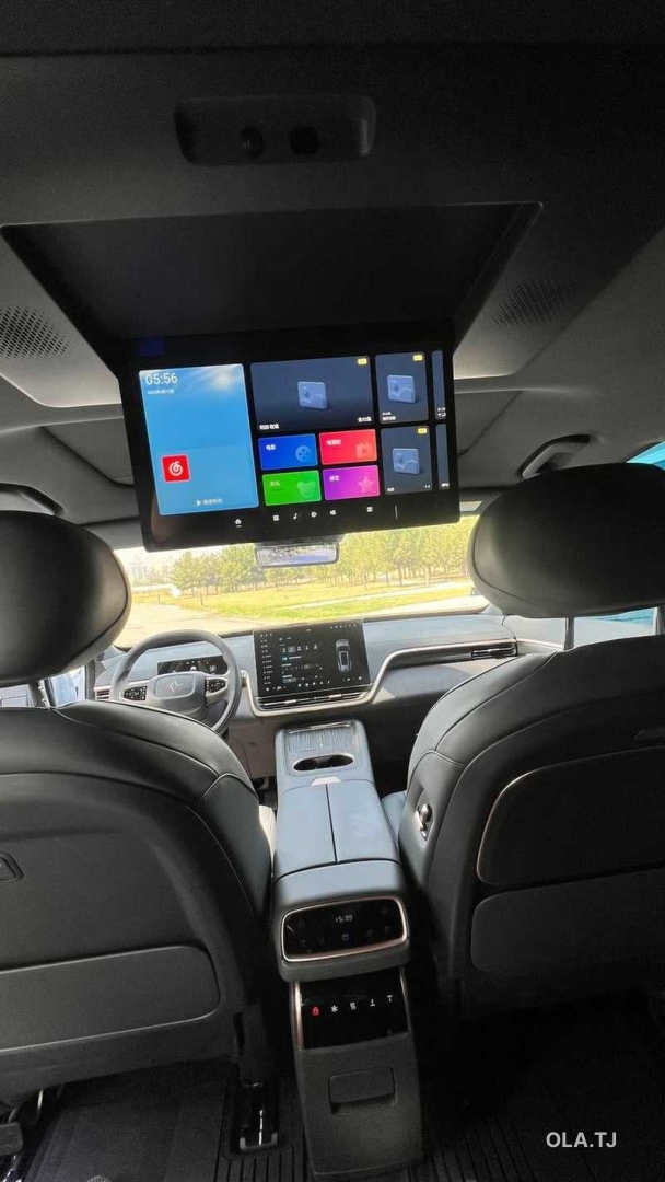 Dongfeng EP 008, 2025
