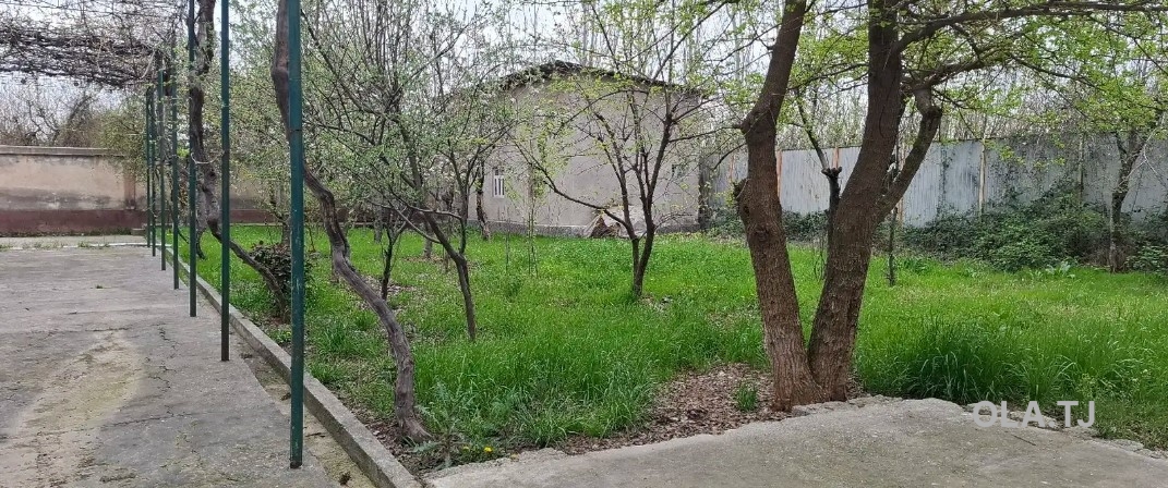 Дом (хавли), 6 комнат, 1 эт