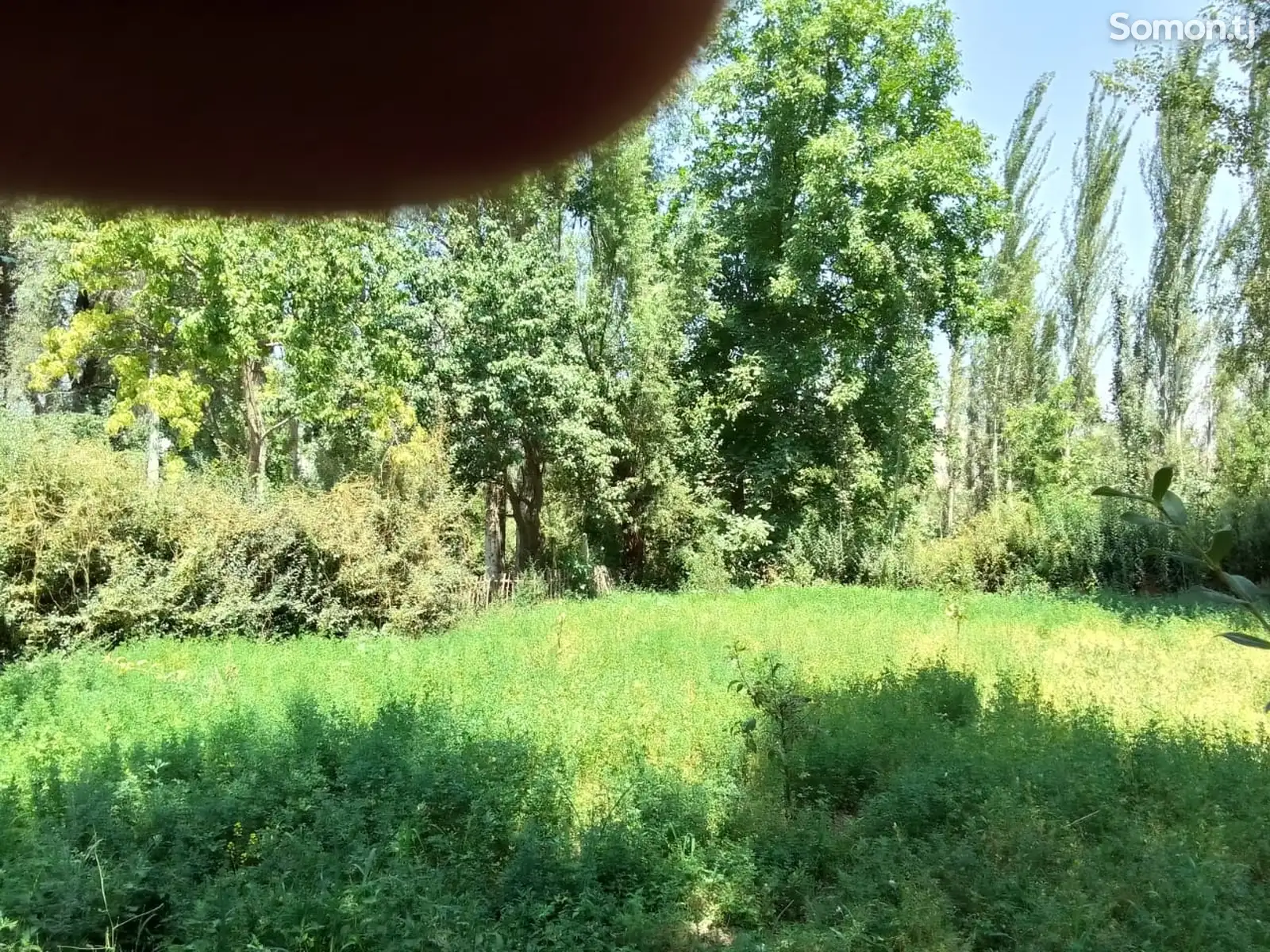 Дом (хавли), 10 комнат,
