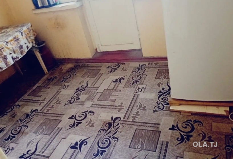 1 комнатная квартира, 1 этаж, 41 м²