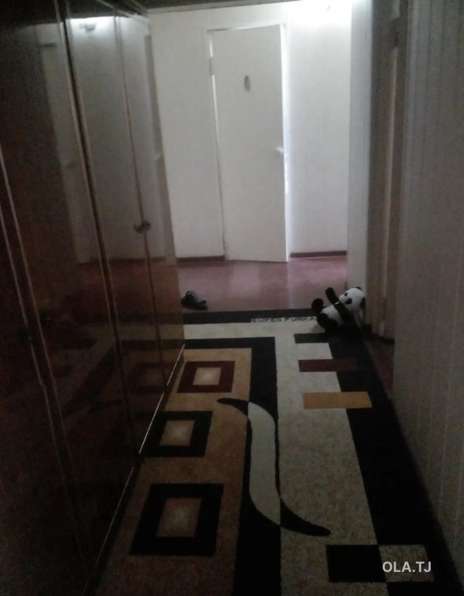 1 комнатная квартира, 1 этаж, 46 м²
