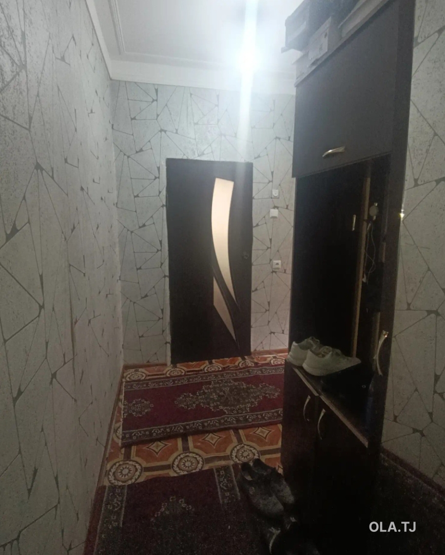 1 комнатная квартира, 1 этаж, 41 м²