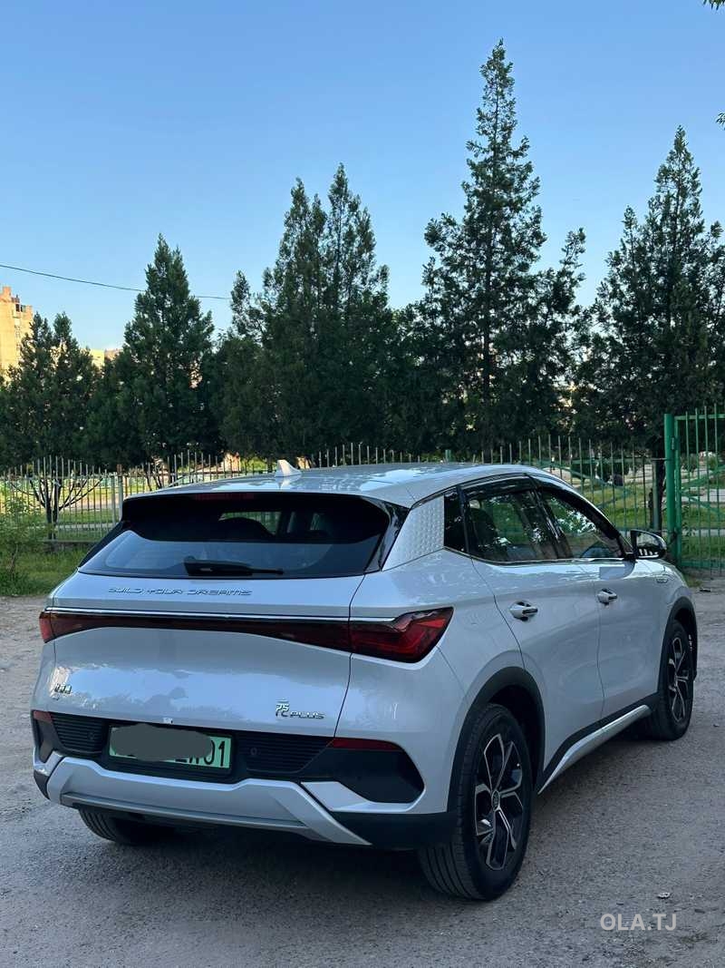 BYD Yuan Plus,  2024
