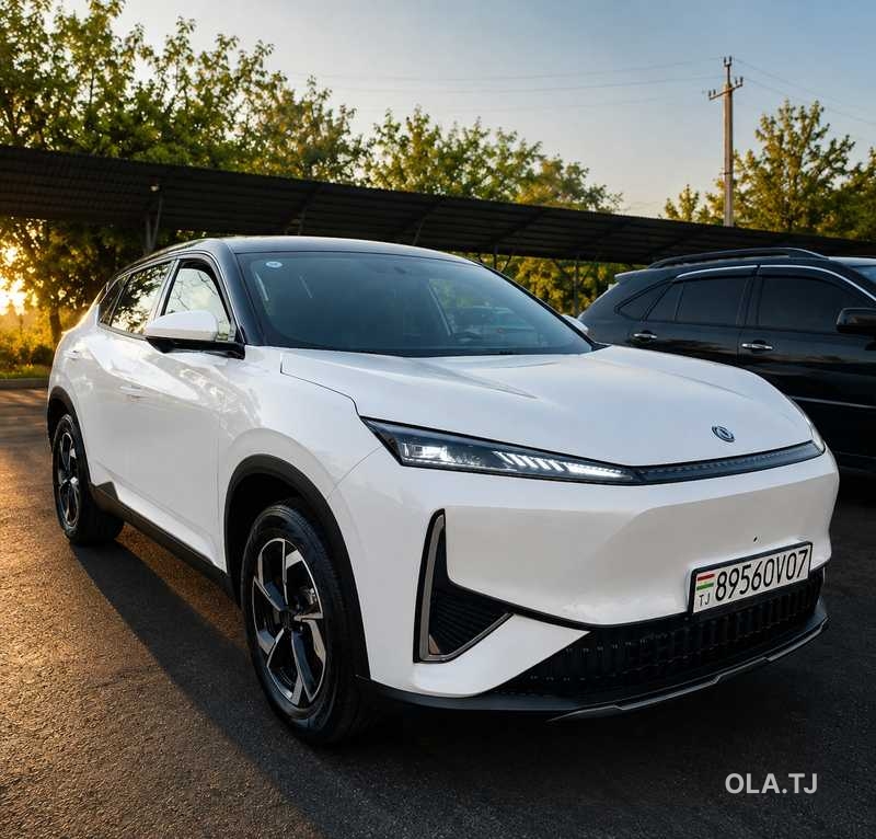 Dongfeng Aeolus L7,