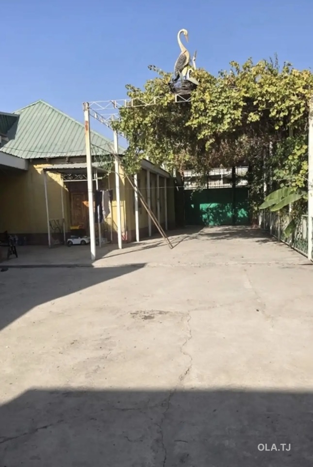 2 комнатная квартира, 1 этаж, 200 м²