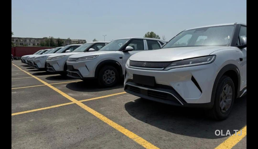 BYD Yuan Up,  2025