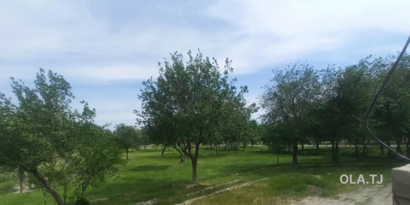 1 комнатная квартира, 1 этаж, 34 м²