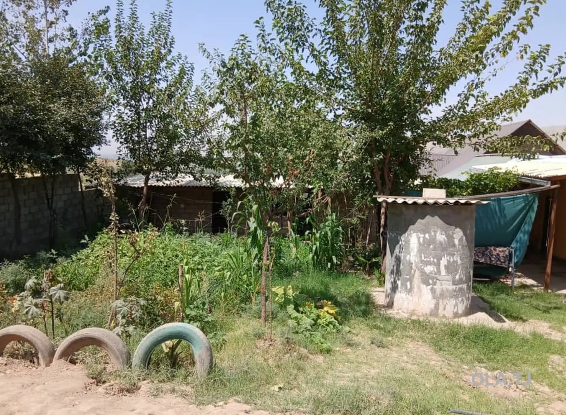 Дом (хавли), 2 комнат, 1 эт