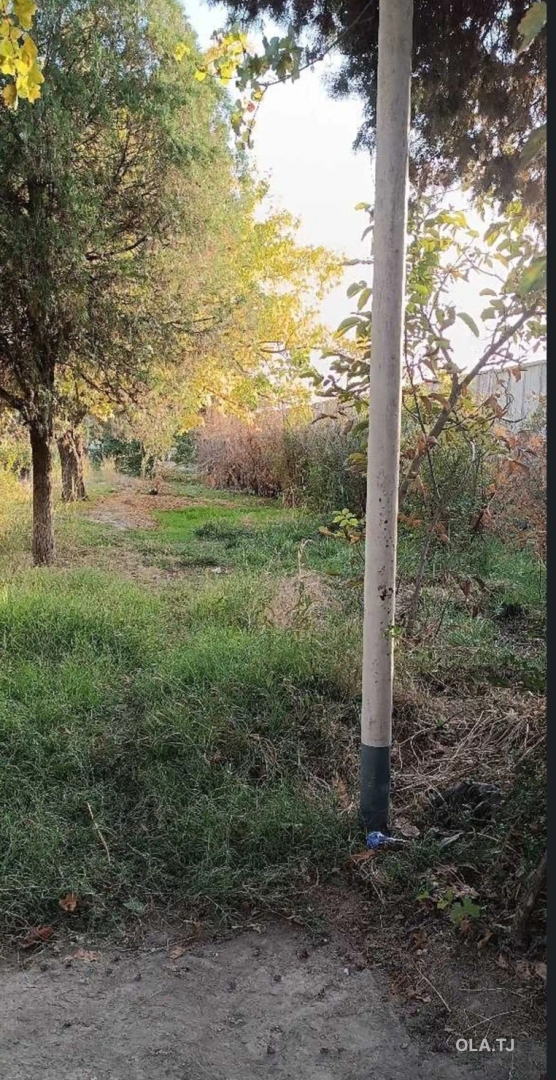 Здание, 60 соток, дехоти Кахрамон