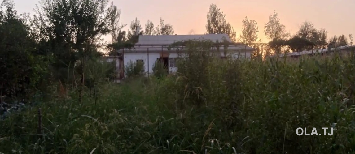 Дом (хавли), 4 комнат, 1 эт