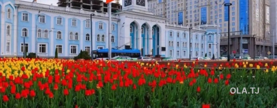 1 комнатная квартира, 3 этаж, 59 м²