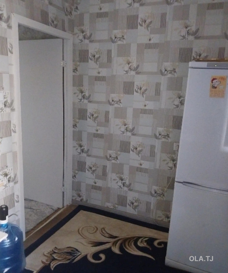 1 комнатная квартира, 1 этаж, 40 м²