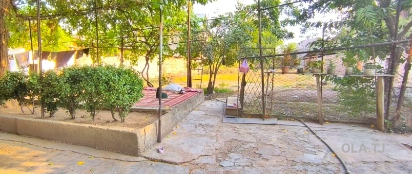 Дом (хавли), 5 комнат,