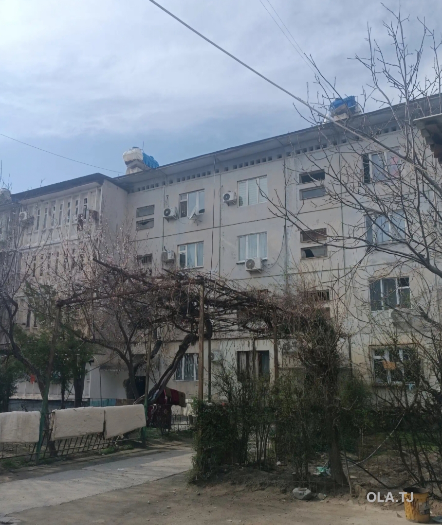 1 комнатная квартира, 1 этаж, 41 м²