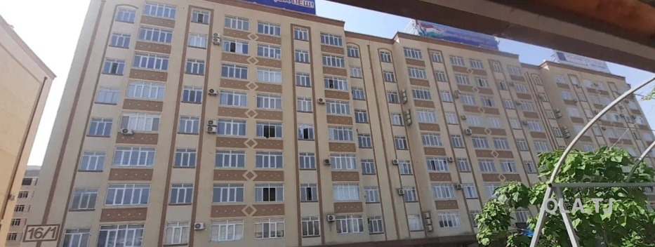 1 комнатная квартира, Цокольный этаж, 53 м²