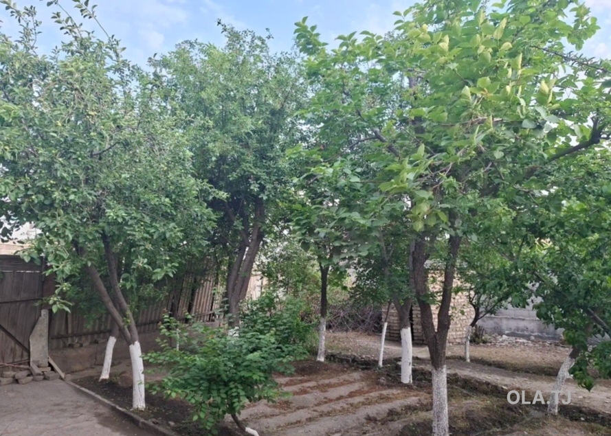 Дом (хавли), 2 комнат,