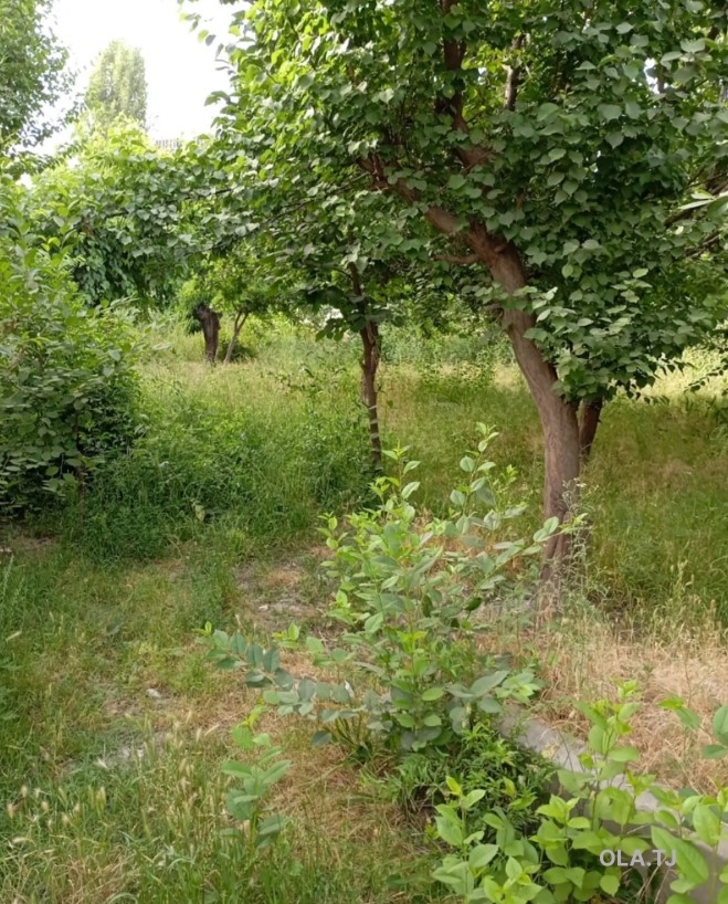 Дом (хавли), 8 комнат, 1 эт