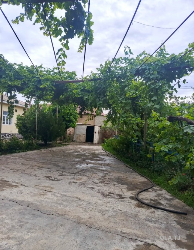 Дом (хавли), 4 комнат, 1 эт