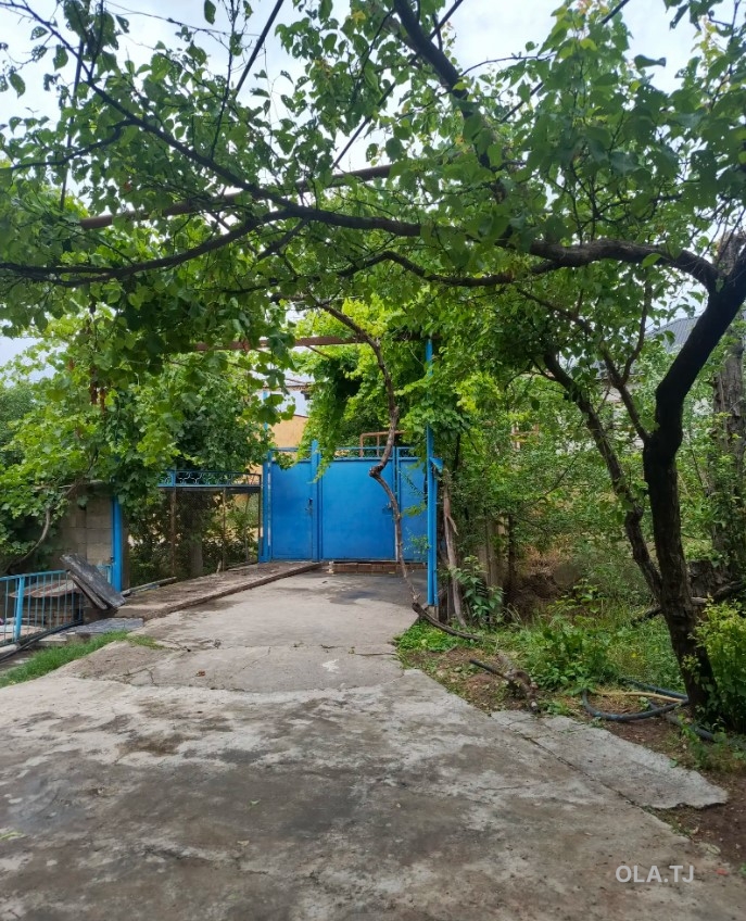 Дом (хавли), 4 комнат, 1 эт
