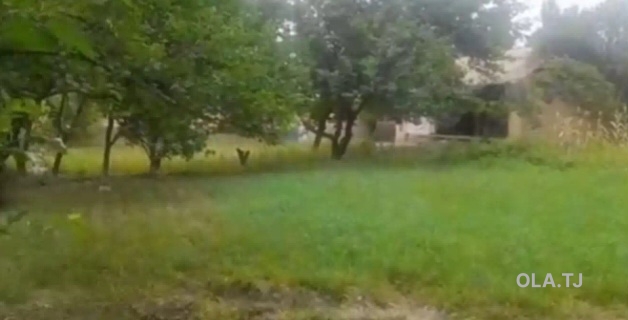 Дом (хавли), 2 комнат,