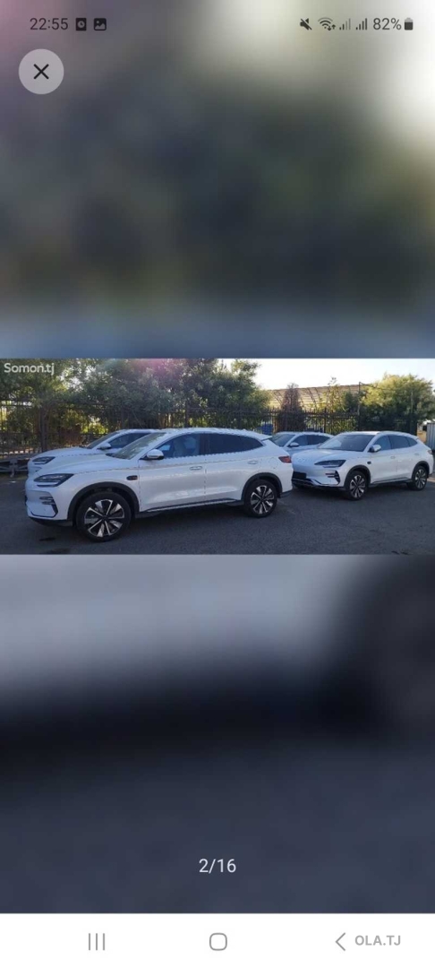 BYD Song,  2025