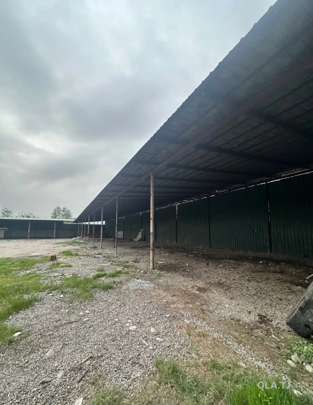 Помещение под свободное назначение, 1600м²